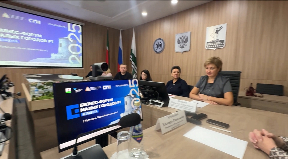 Елабуга станет деловой столицей малых городов Татарстана