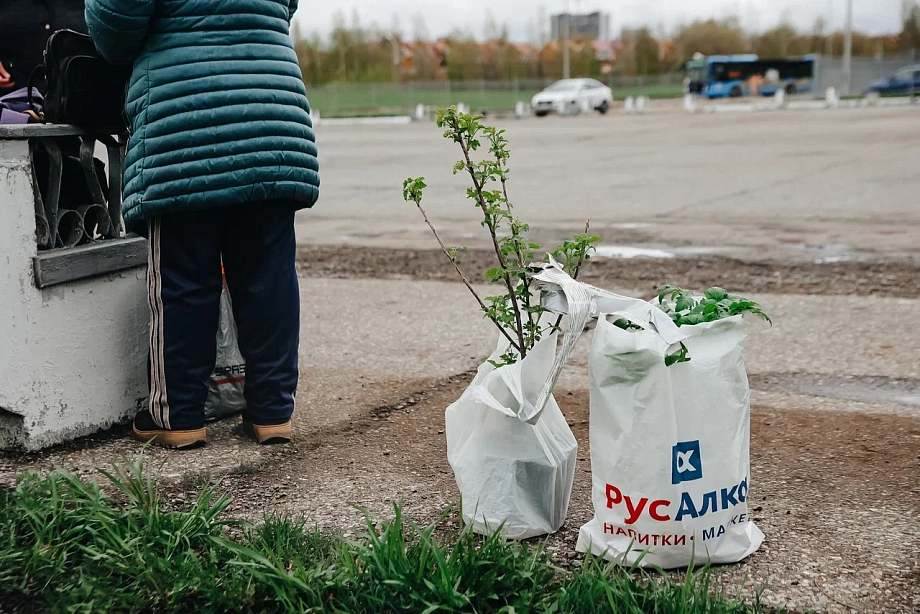 «Мы работали на грани, была небольшая прибыль. Надо понимать, что это – социальный маршрут»