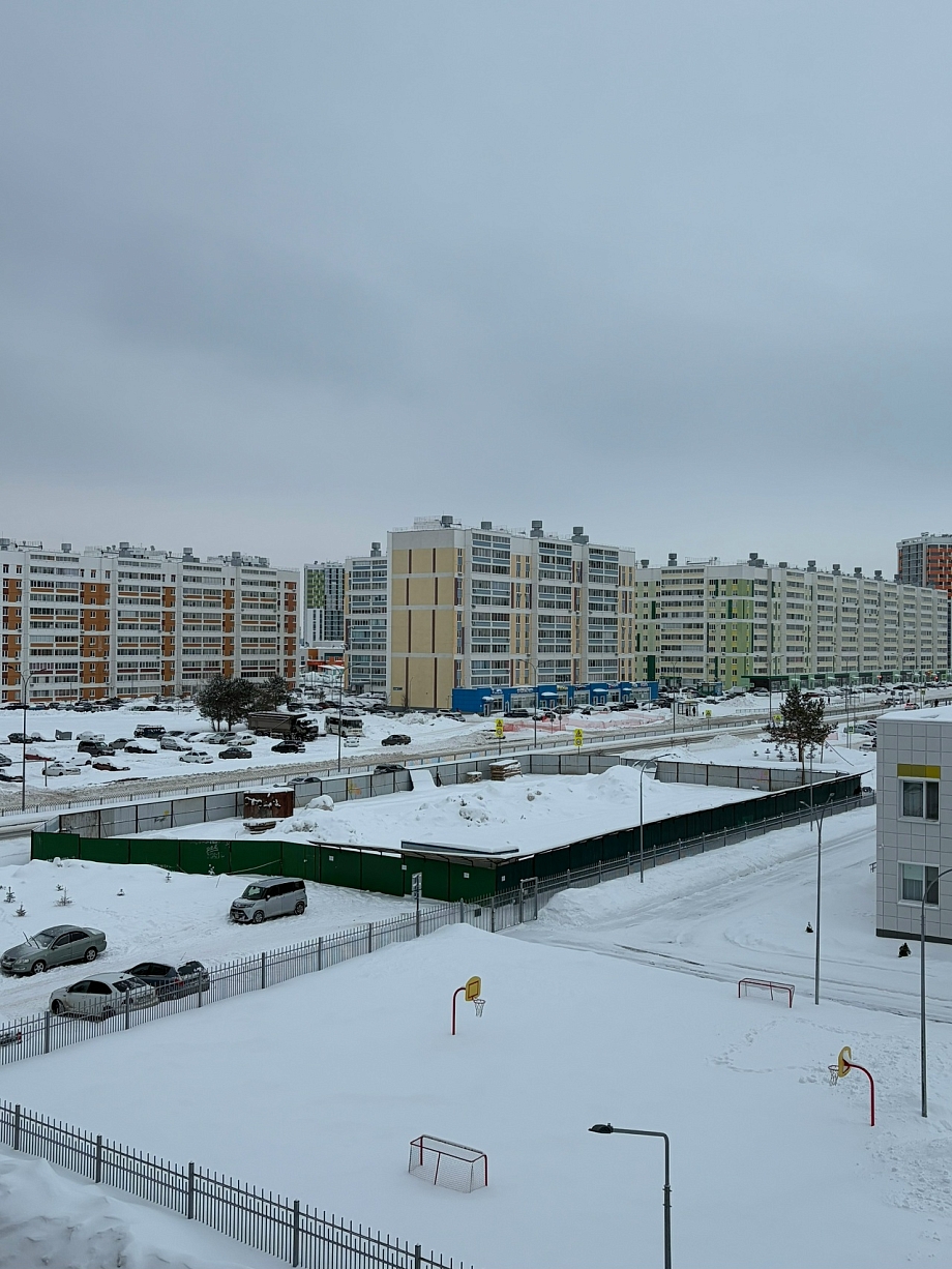 Жители нового микрорайона Челнов протестуют против застройки аллеи