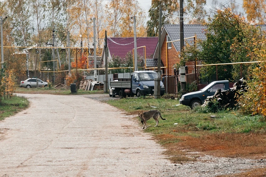 Апгрейд «элитного» пригорода Челнов: как перезагрузят Шильну и ее окрестности