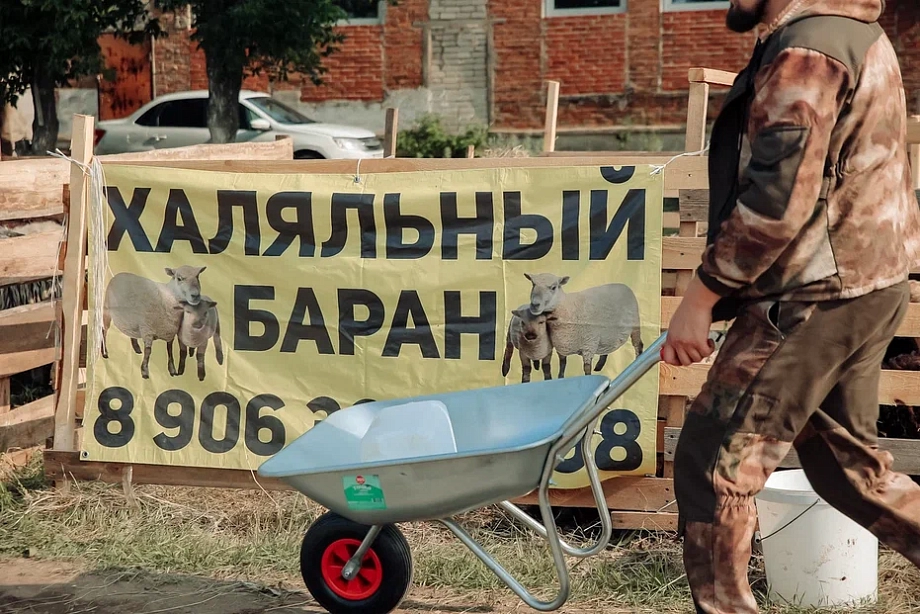Фото: в Челнах открылась площадка для жертвоприношений на Курбан-байрам