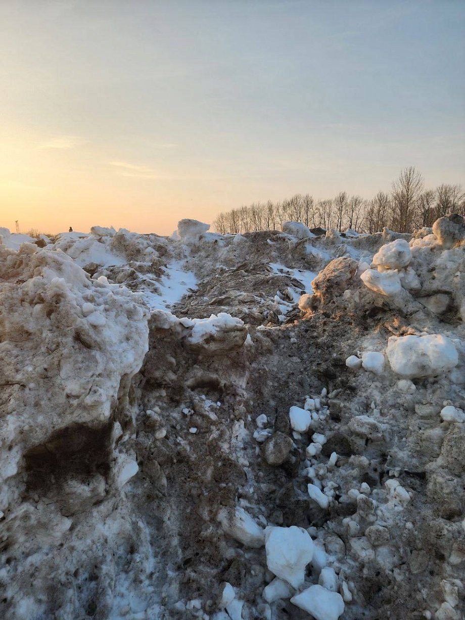 В Нижнекамске под угрозой затопления оказался приют для животных