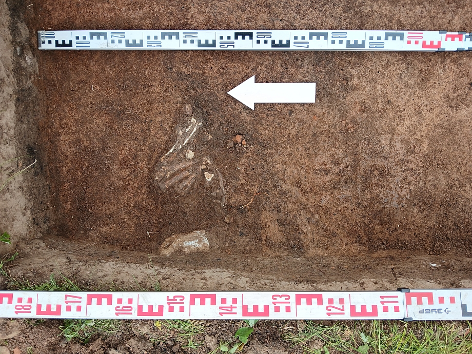 «Несмотря на отдаленность от крупных цивилизаций, от Римской империи, с ними эта территория контактировала через кочевников»