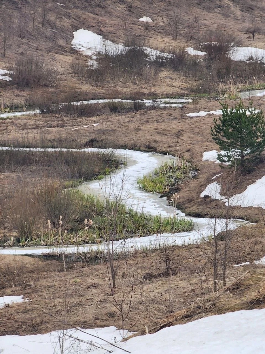 «Родители в детстве играли на льду этой реки. Сейчас ее в народе называют «химичкой». А еще она перестала замерзать при -25»