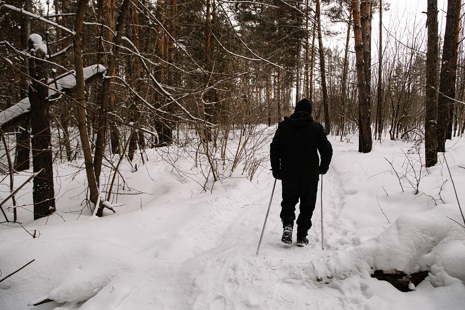 «Передавать лес городу – это незаконно. Это кощунство – отдать лес муниципальной власти»