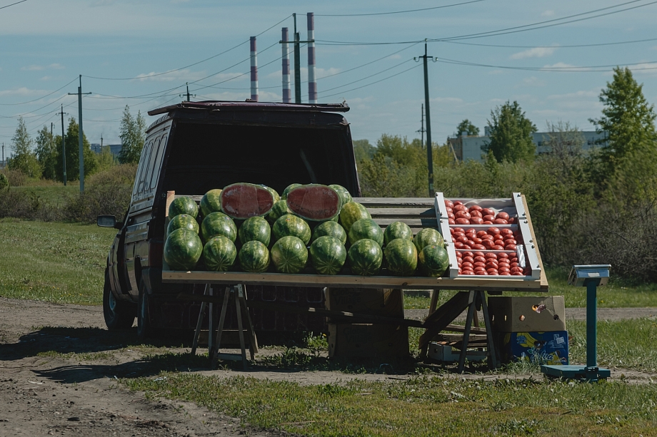 Фото: торговцы-нелегалы открыли сезон продажи арбузов 