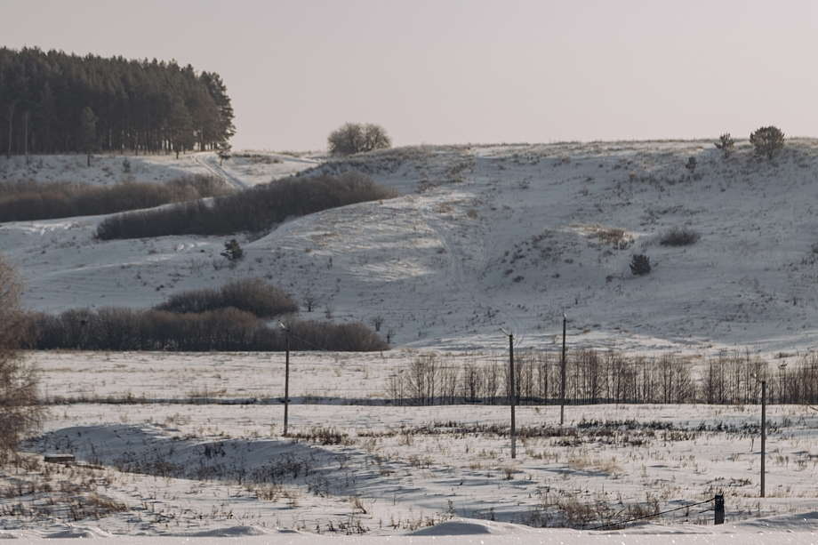 «Вспоминаю позапрошлый год и, честно говоря, охватывает страх, что будет весной»