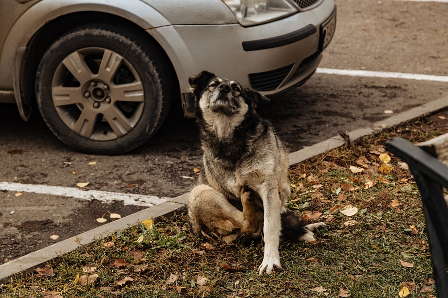 «Калечить людей в мирное время из-за того, что какой-то разгильдяй не выполняет обязанности, мы не можем»