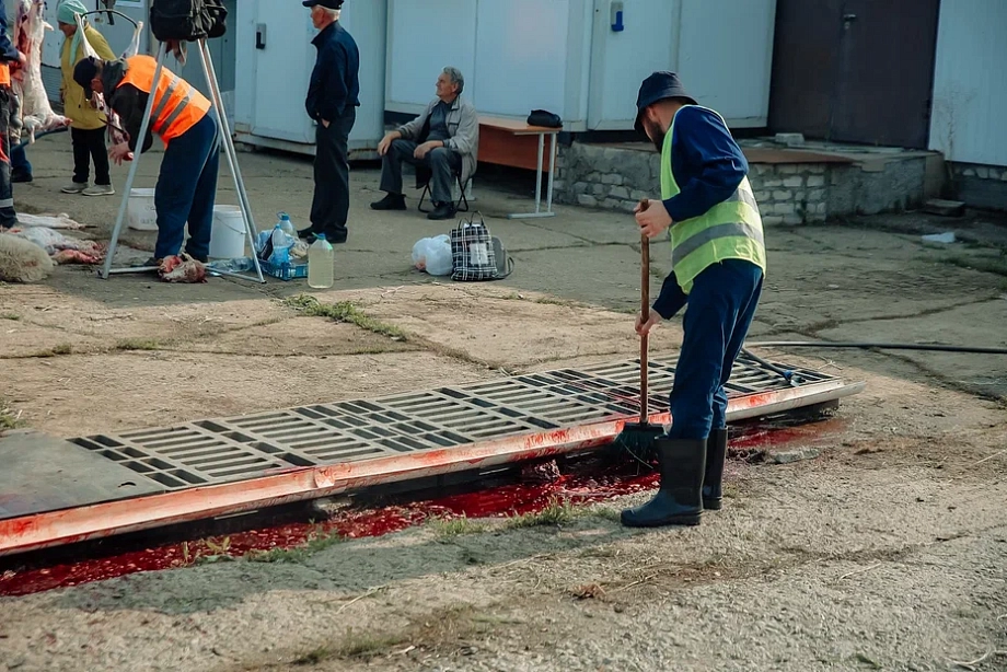Фото: в Челнах открылась площадка для жертвоприношений на Курбан-байрам