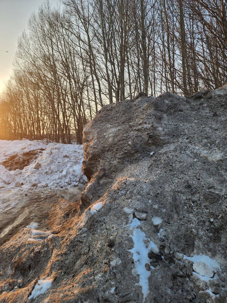 В Нижнекамске под угрозой затопления оказался приют для животных