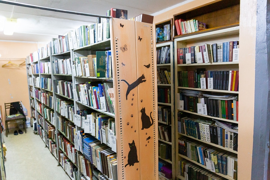 Альфия Когогина: «В Челнах появится библиотека нового формата»