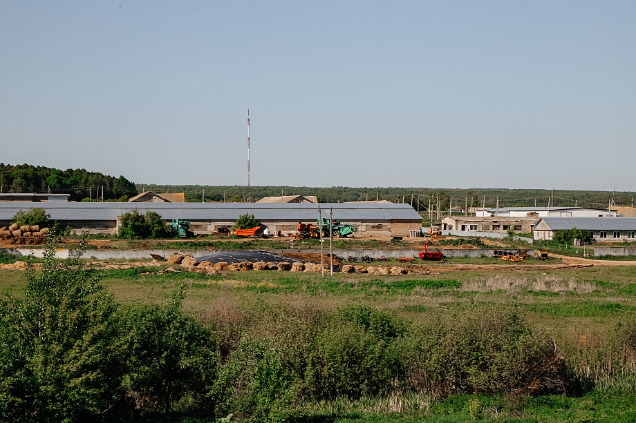 «Там разваливается моя родина. Нет руководства, нет никаких построений. Все больные животные собрались там»