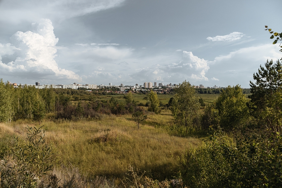 Фото: как выглядит сегодня дельта Шильны, где генпланом предлагалось строить дома 