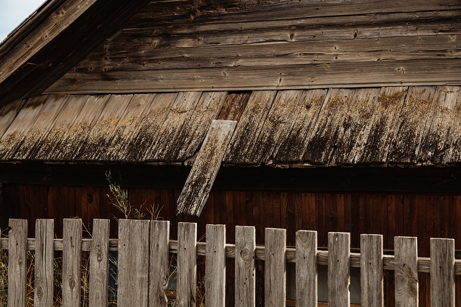 «Там разваливается моя родина. Нет руководства, нет никаких построений. Все больные животные собрались там» «Там разваливается моя родина. Нет руководства, нет никаких построений. Все больные животные собрались там»