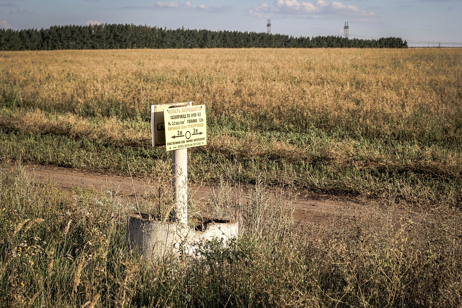 «Вариант денежной компенсации – это прерогатива РТ. Вопрос находится в проработке»