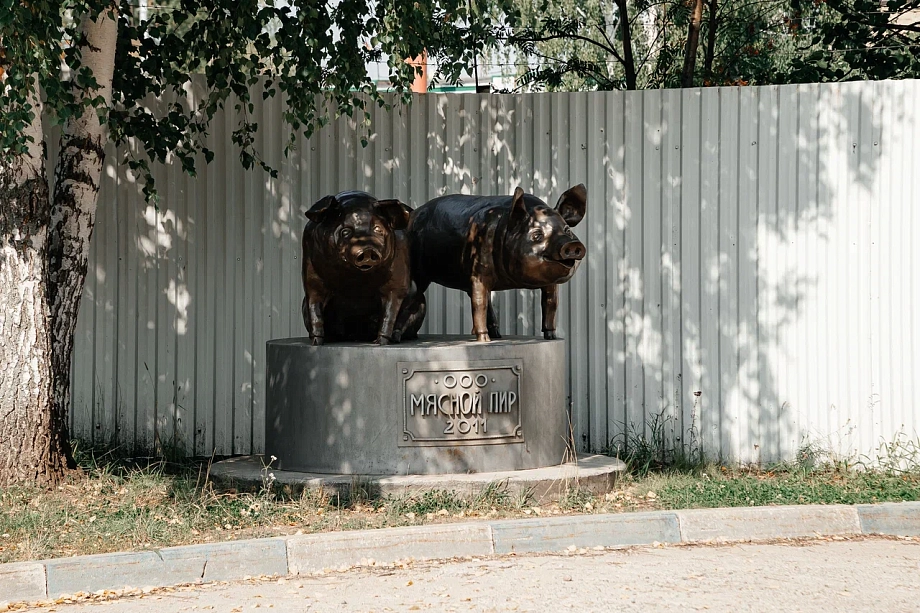 «Вонь такая стояла, что глаза слезились. Экологическая катастрофа, по сути, там!» 