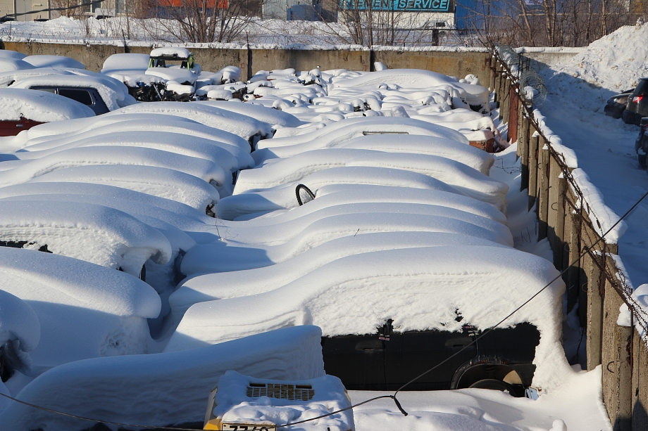 «Мы не перекупщики, обычные люди, которые покупали машины для семьи, а теперь приходится бороться за свои права»