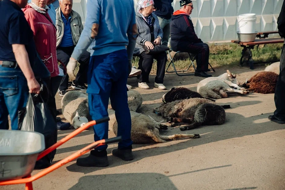 Фото: в Челнах открылась площадка для жертвоприношений на Курбан-байрам