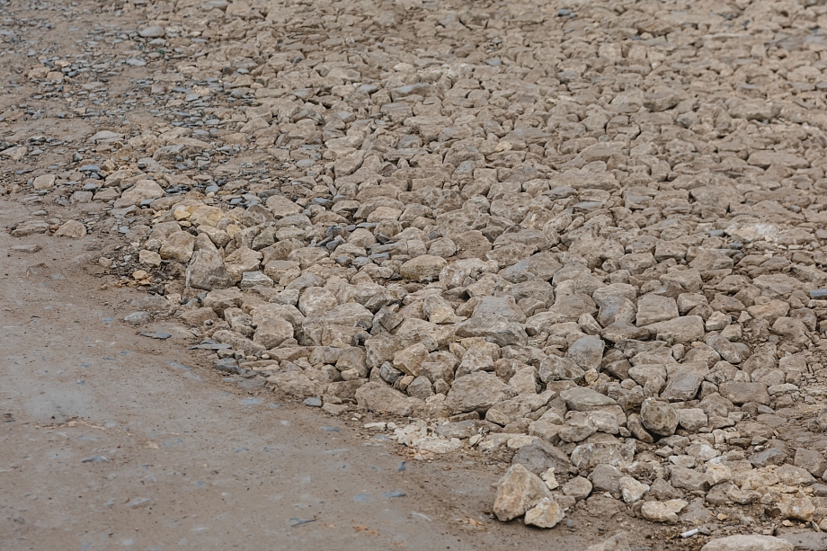 «Вспоминаю позапрошлый год и, честно говоря, охватывает страх, что будет весной»