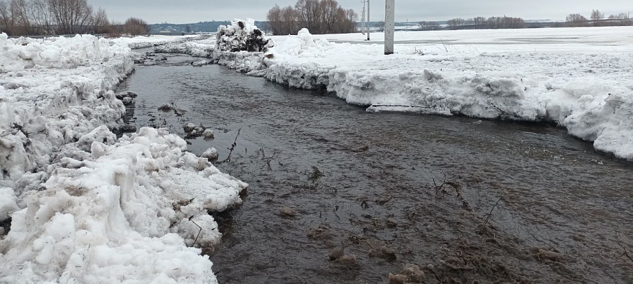 В затопленной деревне под Челнами идет борьба с паводком (видео)