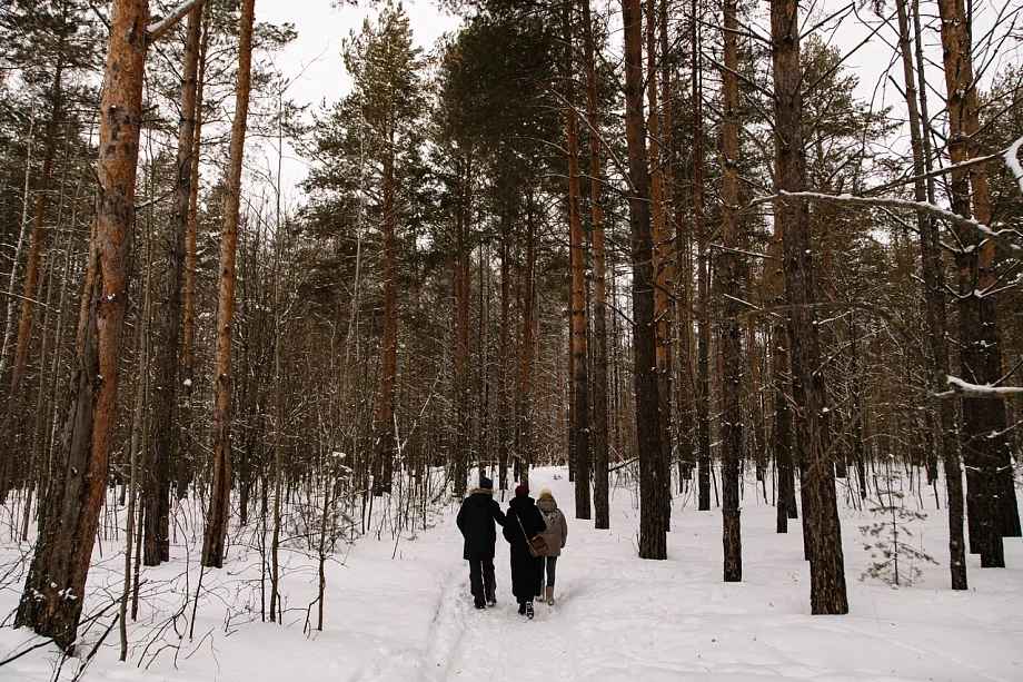 «Передавать лес городу – это незаконно. Это кощунство – отдать лес муниципальной власти»