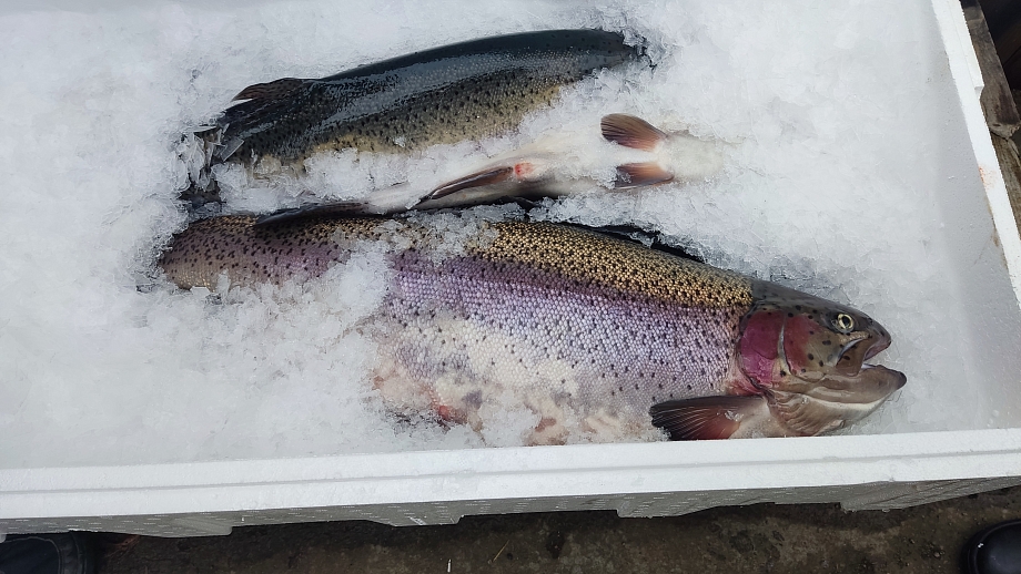 Кинза - дом с душой, где всегда уютно, тепло и вкусно