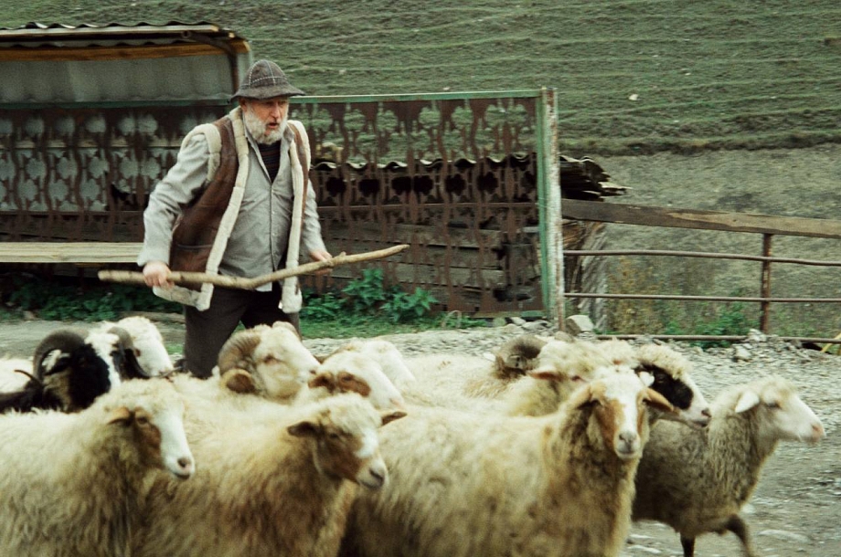 «Гордость» и любовь в Северной Осетии - на Wink премьера комедийного сериала 