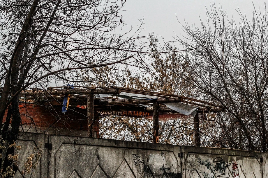 ﻿Садоводы Тукаевского района жалуются на брошенных по осени питомцев