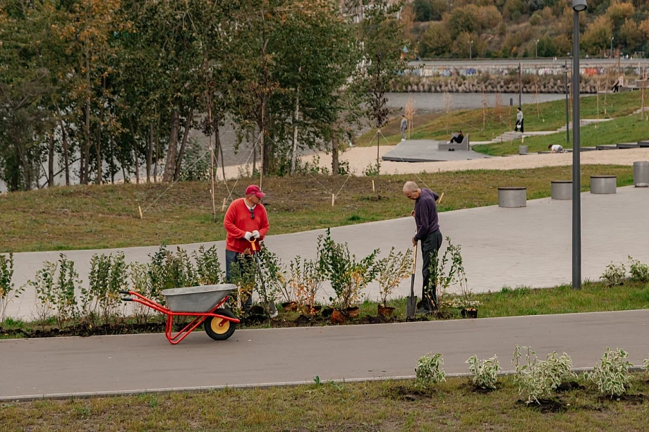 «Таких денег, направляемых на благоустройство дворов, наш город не видел никогда. В ближайшие 20-30 лет такого финансового ресурса уже не будет» «Таких денег, направляемых на благоустройство дворов, наш город не видел никогда. В ближайшие 20-30 лет такого финансового ресурса уже не будет»