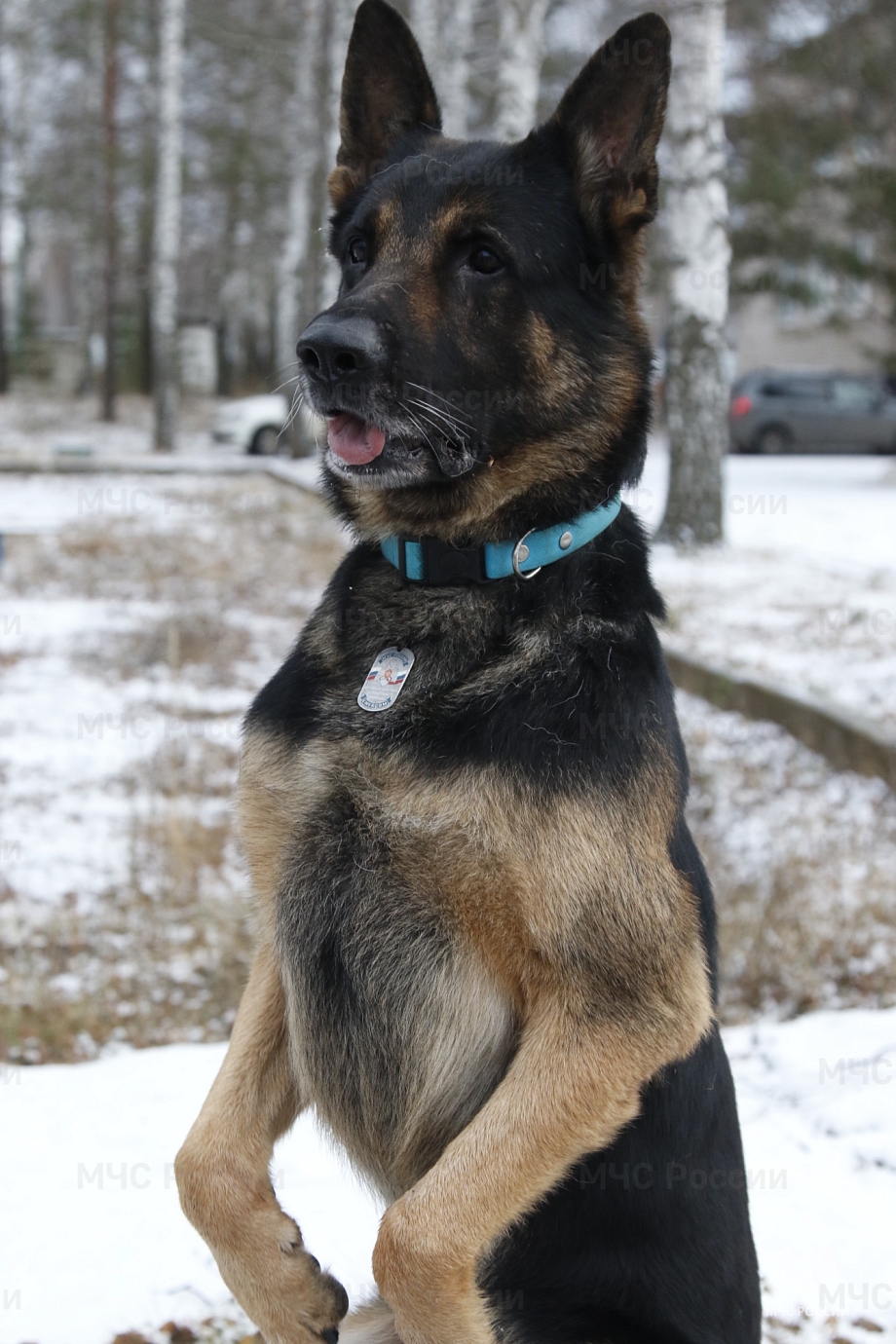 Фото: ГУ МЧС России по РТ