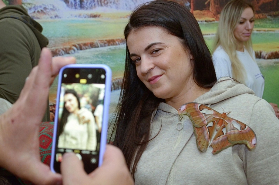 Крылатые красавицы в полете: в Челнах пройдет выставка «Планета живых бабочек»