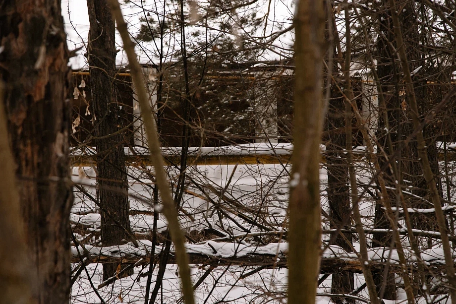 «Передавать лес городу – это незаконно. Это кощунство – отдать лес муниципальной власти»