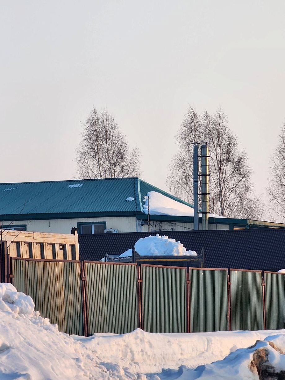 В Нижнекамске под угрозой затопления оказался приют для животных