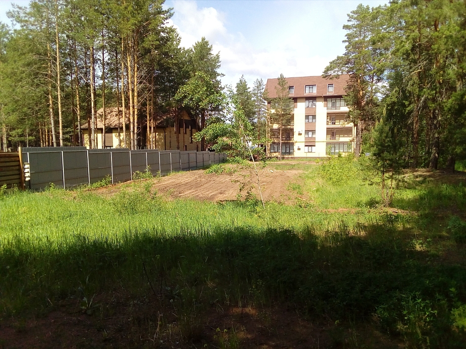 Активисты добились сноса незаконного забора и дома в Шильнинском лесу