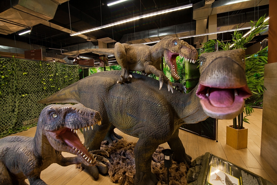 Гигант Тирекс и VR аттракционы: В Челны приехала интерактивная выставка динозавров