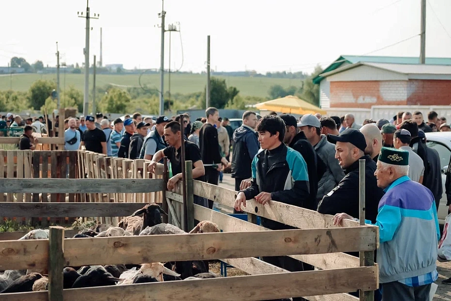 Фото: в Челнах открылась площадка для жертвоприношений на Курбан-байрам