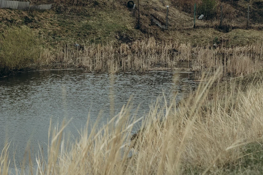 «Присвоили себе и хоть бы что! Это же доступ к воде! Не дай Бог пожар, воду на нашей улице нигде не возьмешь»