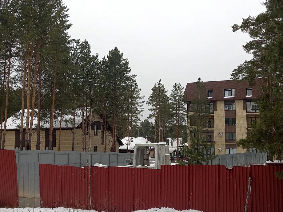 Активисты добились сноса незаконного забора и дома в Шильнинском лесу