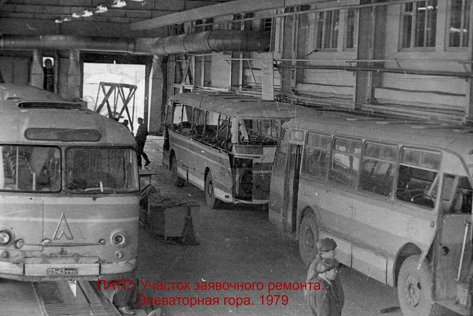 «Гармошки», газельки и НЕФАЗы – на чем перевозили челнинцев в разные годы (фото)