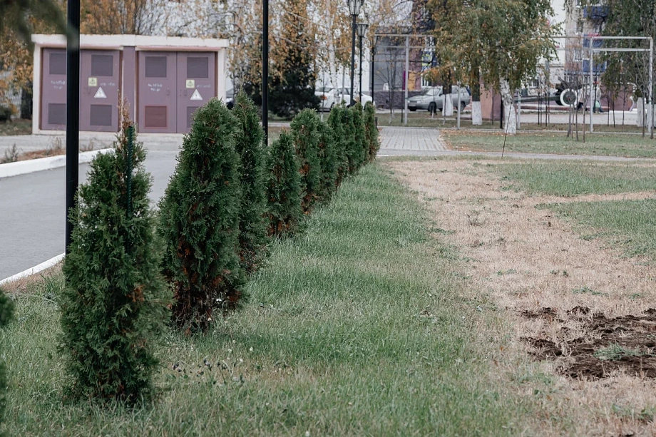 Зима-невидимка: сезон опаздывает, а бизнес платит. Кто и как адаптируется к поздним заморозкам.
