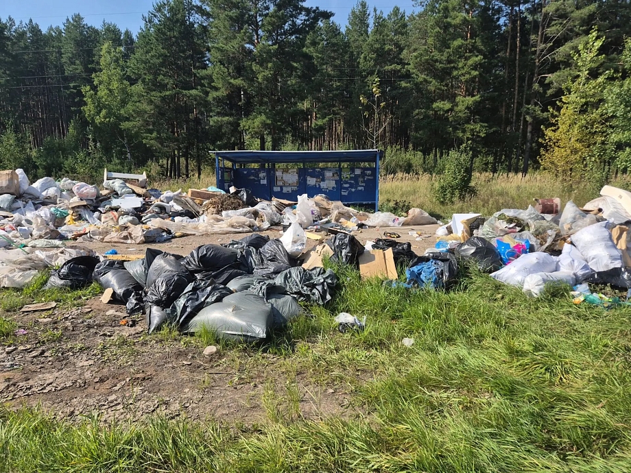 40 «квадратов» мусора: прокуратура отреагировала на сообщения о свалке возле СНТ