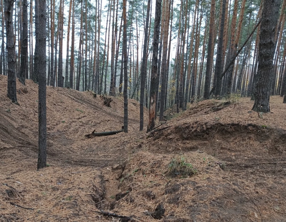 Свалки и гоняющие квадроциклы – что экоактивисты нашли в лесах под Челнами  