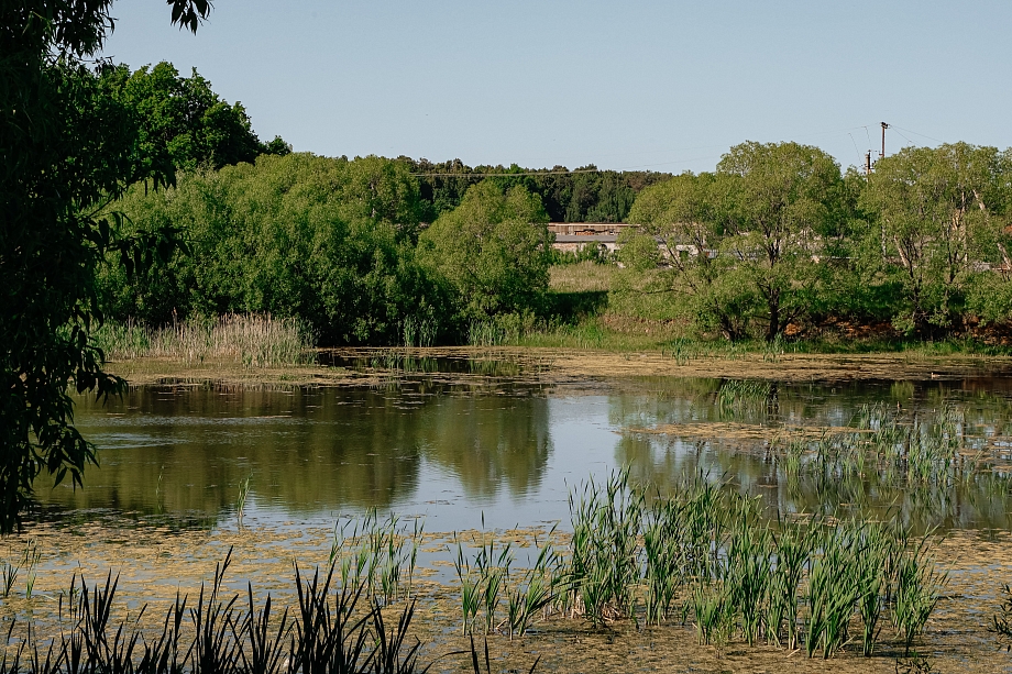 Мегасвалка, гектары под ИЖС, сад и школа: как перезагрузят оскандалившийся пригород Челнов