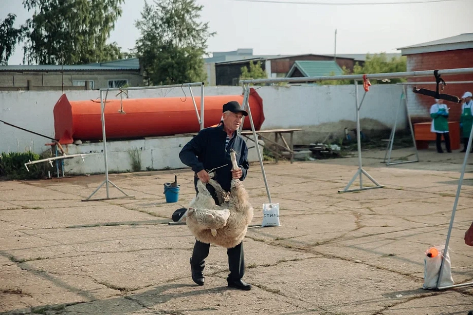 Фото: в Челнах открылась площадка для жертвоприношений на Курбан-байрам